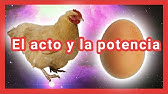 El acto y la potencia | III. Aristóteles 4 | Metafísica | T03 E04