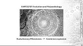 Milestones in Evolution, Video 7 - EART22101 - Palaeobiology and Evolution