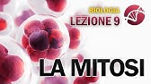 BIOLOGIA - Lezione 9 - La Mitosi