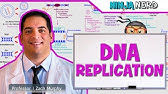 Cell Biology | DNA Replication 🧬