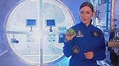 VIDEO Le leggi della Dinamica AMALDI ZANICHELLI
