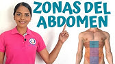 ZONAS, CUADRANTES O REGIONES DEL ABDOMEN