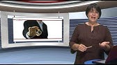 P 0008   Valéria Stranguett   Educação Ambiental e Cidadania   Aula 08   Todos os CursosOK
