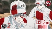 Cells At Work! Lavori in corpo - Ep 2 - Graffio [Sub Ita] | Yamato Video