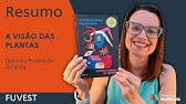 Resumo do livro A VISÃO DAS PLANTAS | Djaimilia Pereira de Almeida | vestibular Fuvest