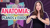 Planos Anatômicos e Eixos de Movimento: Introdução à Anatomia parte 2