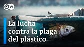 Los océanos se ahogan en plástico. ¿Hay soluciones? | DW Documental