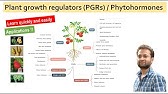 Role of Plant growth regulators (PGRs) in plant growth and development.