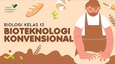 BIOLOGI Kelas 12 - Bioteknologi Konvensional | GIA Academy