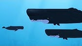 Wild Kratts S01EP2 Whale of a Squid