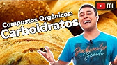 Carboidratos | Compostos Orgânicos | Prof. Paulo Jubilut