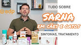 62 | TIPOS DE SARNA EM CACHORRO E GATO - SINTOMAS E TRATAMENTO