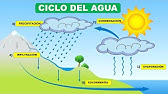 CICLO HIDROLÓGICO DEL AGUA ( Evaporación, Condensación, precipitación, Infiltración y Escorrentía)